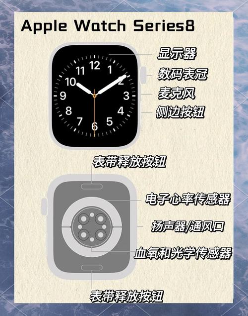 Apple Watch Series 2怎么用？新手必看教程来了！-图2