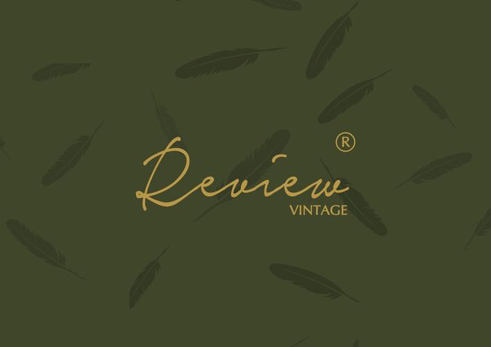 Review V品牌,是真实体验还是营销噱头?-图1 Review V品牌,是真实体验还是营销噱头?-图1