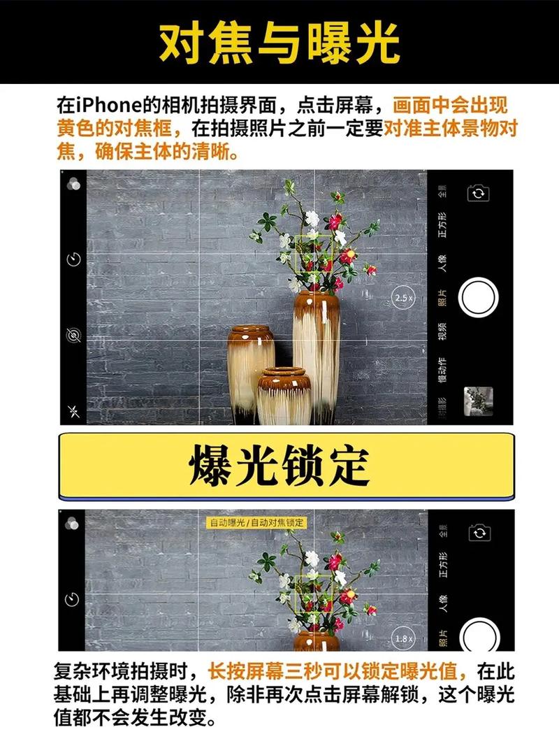 GoPro Capture怎么用？新手入门指南看这里！-图2