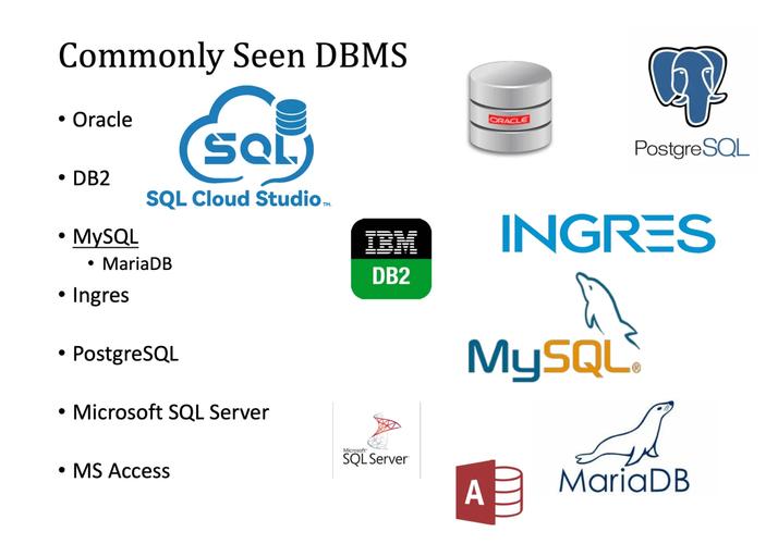 如何快速上手Sqlyog Ultimate?-图2 如何快速上手Sqlyog Ultimate?-图2