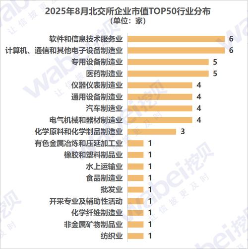 2025互联网企业市值谁将领跑?-图3 2025互联网企业市值谁将领跑?-图3