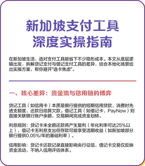 新加坡互联网支付平台有何独特优势？-图1
