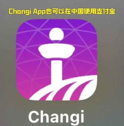 新加坡互联网支付平台有何独特优势？-图3