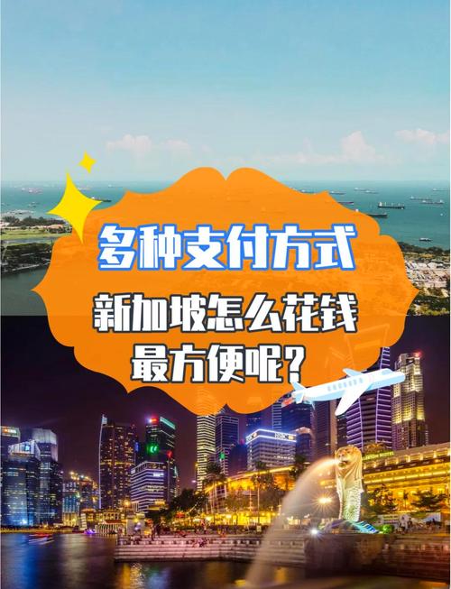新加坡互联网支付平台有何独特优势？-图2