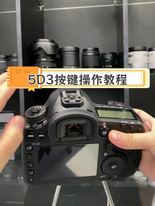 佳能5D3教程视频，新手必看技巧有哪些？-图3