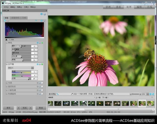 ACDSee Pro 6使用教程有哪些核心技巧？-图3