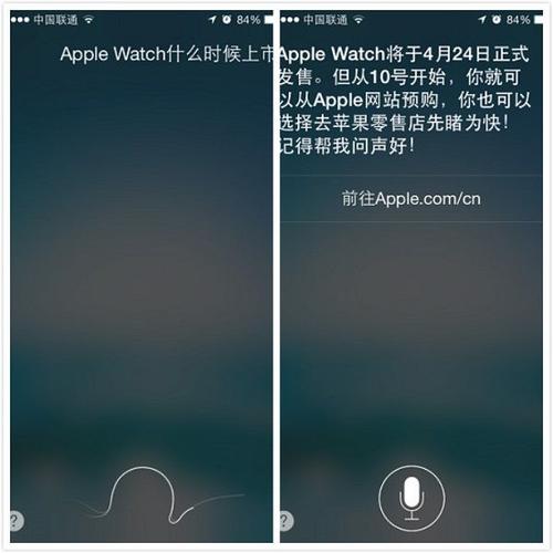 Siri为何突然无法联网?-图2 Siri为何突然无法联网?-图2