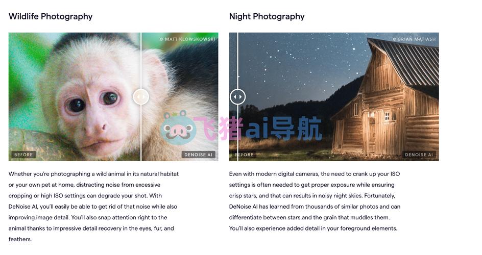 Topaz DeNoise 5教程怎么用？效果好吗？-图3