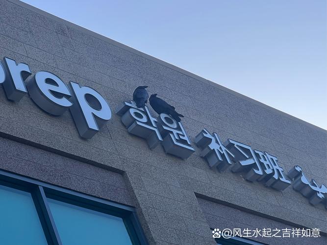 solaris哪里品牌-图2 solaris哪里品牌-图2