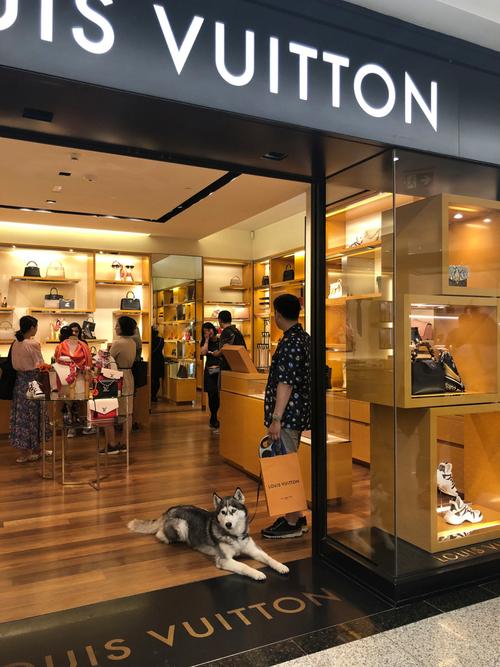 Promise是什么品牌?-图1 Promise是什么品牌?-图1