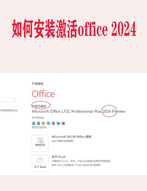Office 2025电话激活怎么操作？-图3