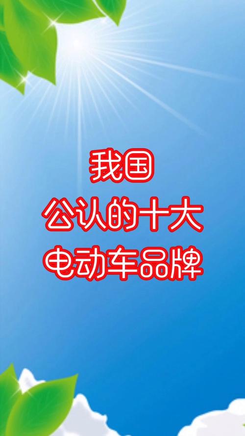 品牌电动车有哪些品牌子?-图3 品牌电动车有哪些品牌子?-图3