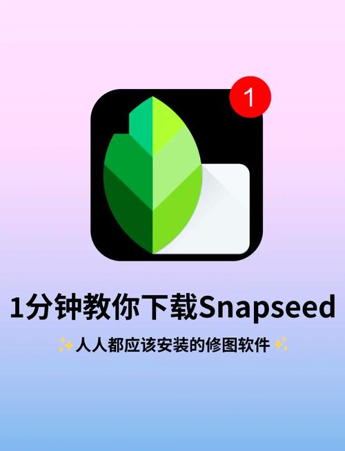 snapseed iphone教程-图1