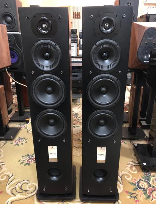 法国音响品牌有哪些品牌-图1