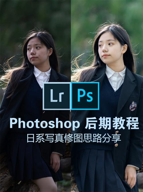 Photoshop教程百度网盘资源哪里找？-图3