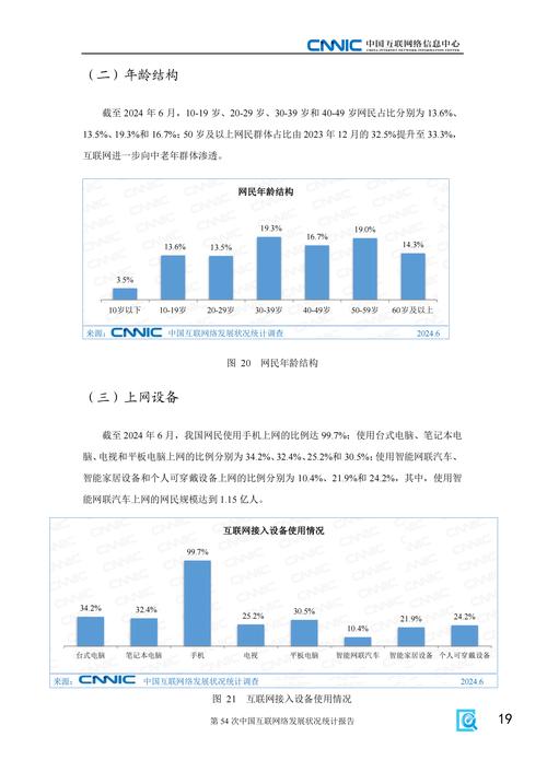 39次互联网络发展报告-图1