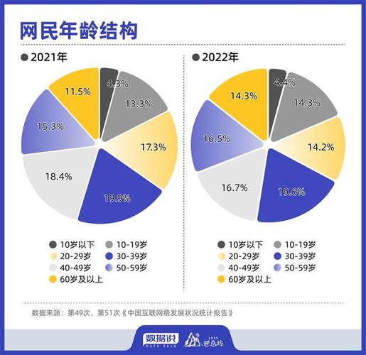39次互联网络发展报告-图3