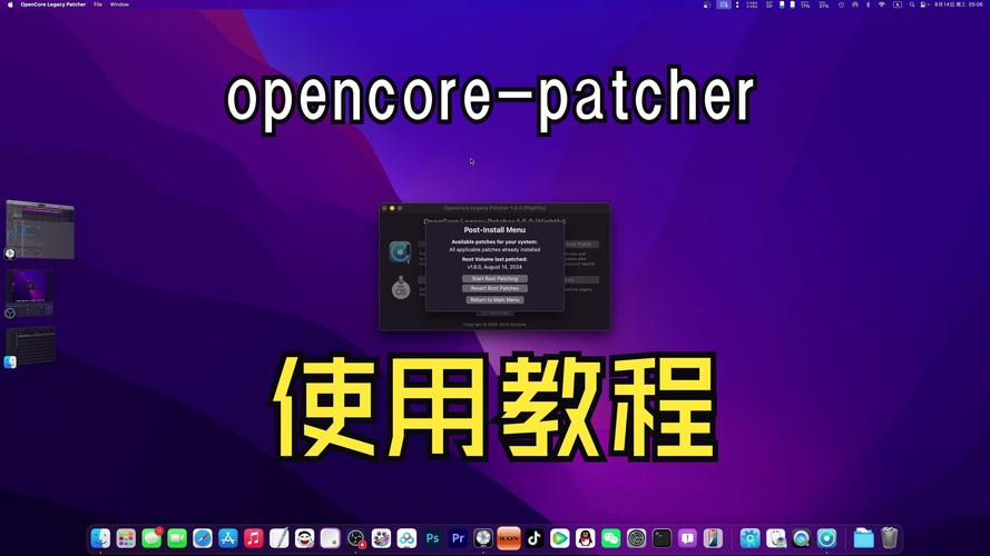 AppleALC补丁教程怎么用？-图2