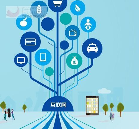 电子商务能否成为互联网-图2