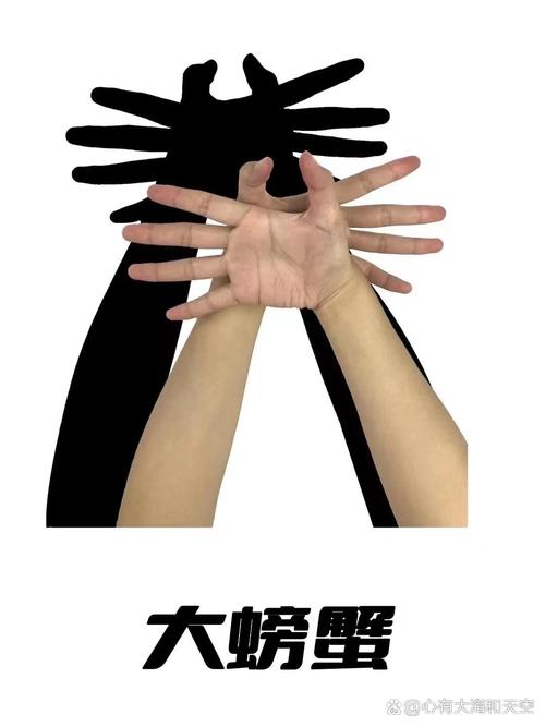 Leap Motion手势教程怎么学？-图3