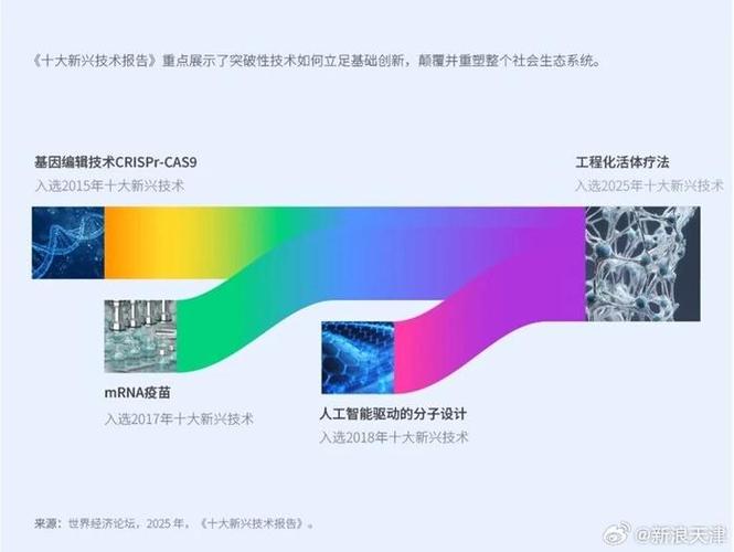 2025新兴互联网公司有哪些新趋势？-图1