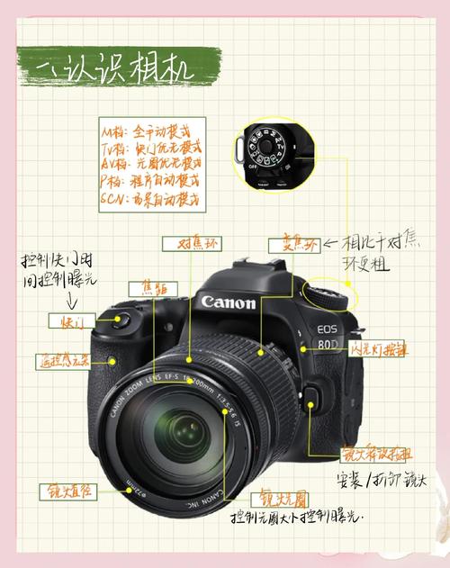 Photo Theater教程怎么学?入门步骤有哪些?-图2 Photo Theater教程怎么学?入门步骤有哪些?-图2