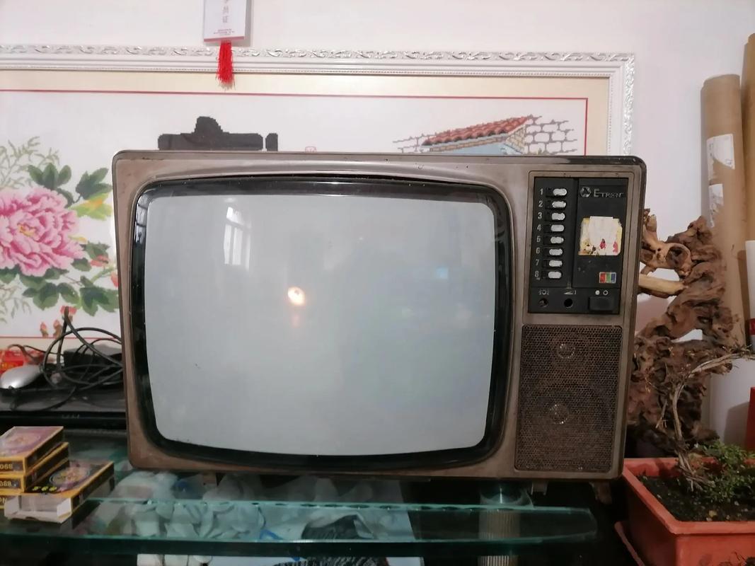 80年代有哪些主流彩色电视机品牌？-图1