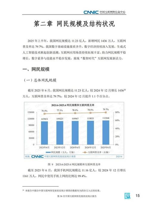 2025农村互联网发展将如何改变乡村？-图2