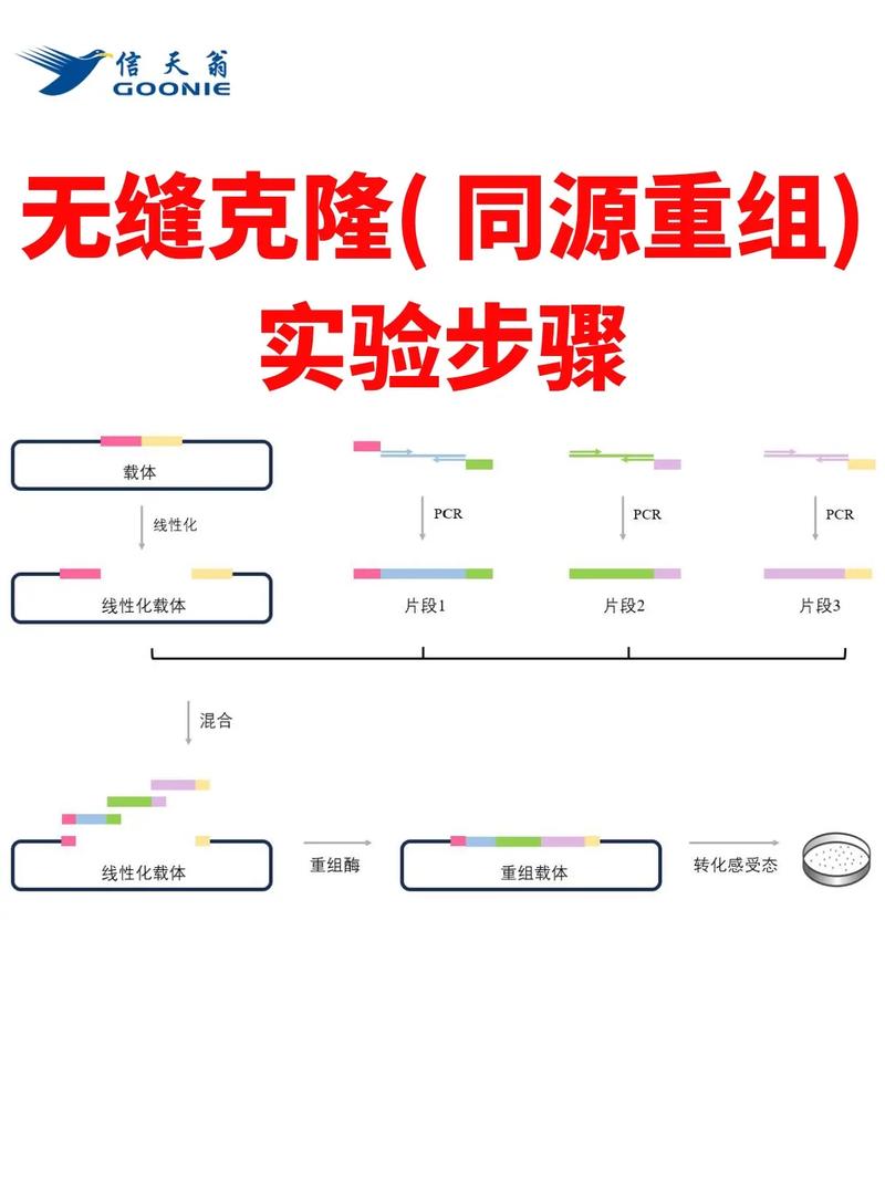 Acronis克隆教程怎么操作？步骤详解！-图1