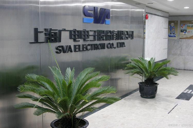 上海海狗互联网有限公司是做什么的？-图1