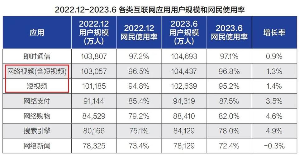 2012年互联网普及率究竟有多高？-图2