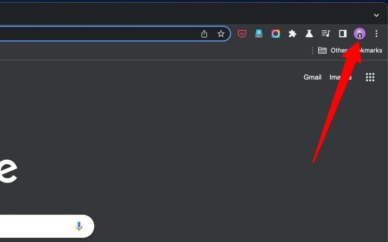 Chrome Profile怎么用？-图3