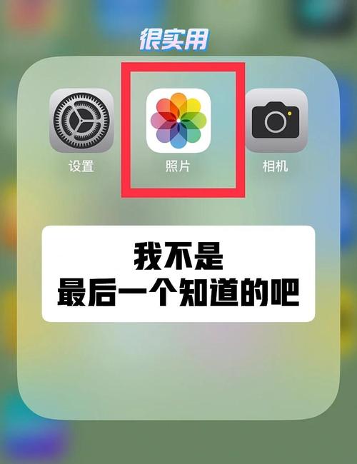 iPhone照片视频教程怎么学？-图2