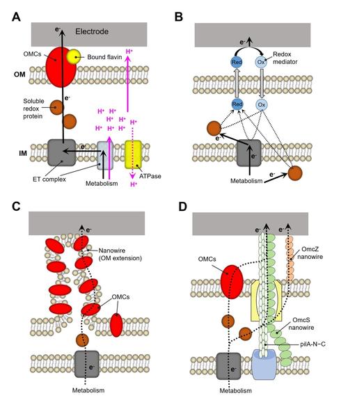 Microstrategy教程怎么学？从哪开始学？-图1