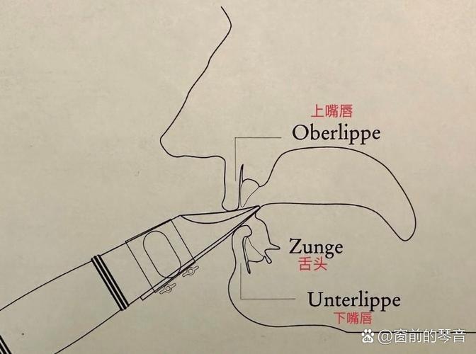 catransaction 教程，如何快速上手？-图1