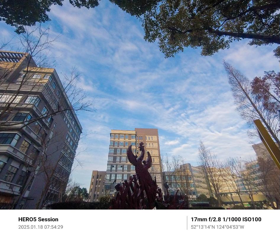 go pro session教程-图1