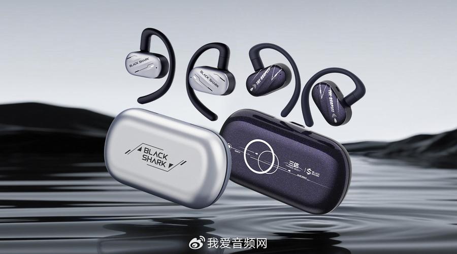 QQ音乐耳机有哪些品牌和型号可选？-图3