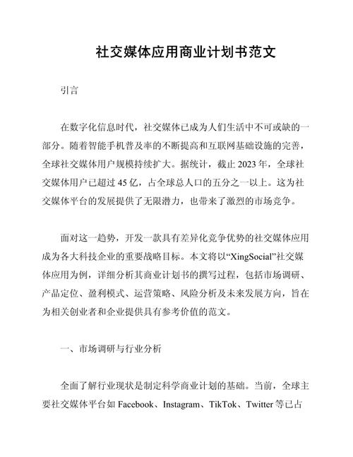 互联网商业计划书范文有哪些核心要点？-图1