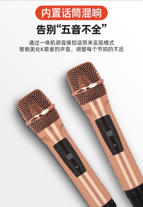 家庭卡拉OK音响选哪个品牌好？-图3