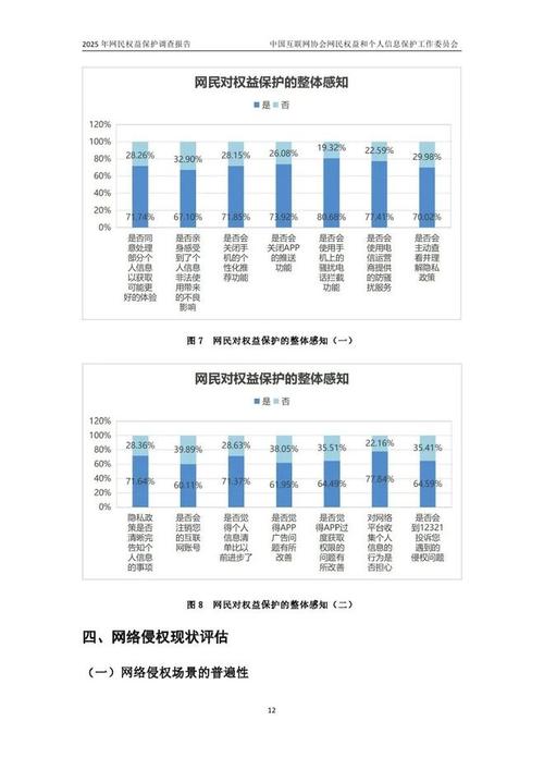 2025互联网调查报告揭示了哪些关键趋势？-图3