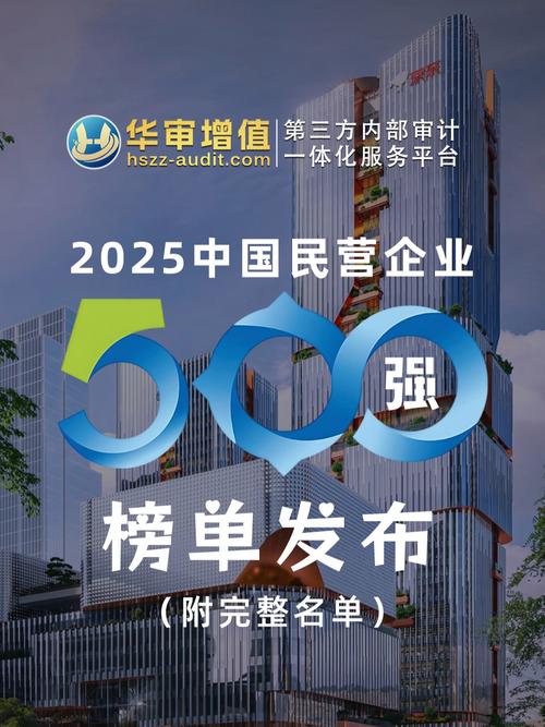 2025互联网百强企业有哪些新面孔？-图3