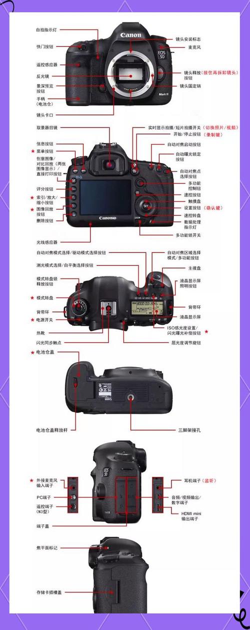 5D Mark III视频教程，新手怎么学？-图1