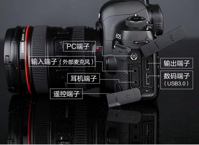 5D Mark III视频教程，新手怎么学？-图2