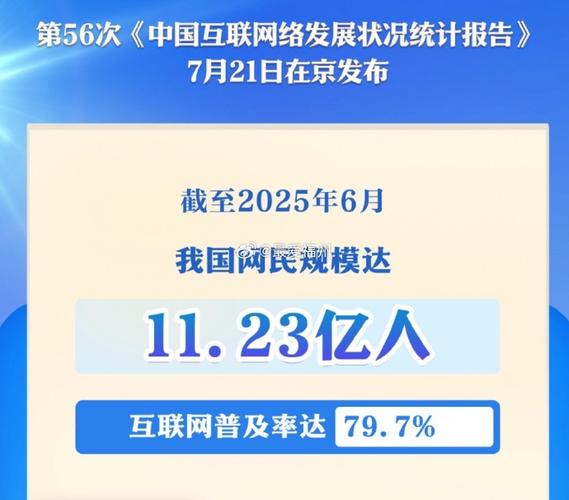 2025年互联网网民数量将达多少?-图3 2025年互联网网民数量将达多少?-图3