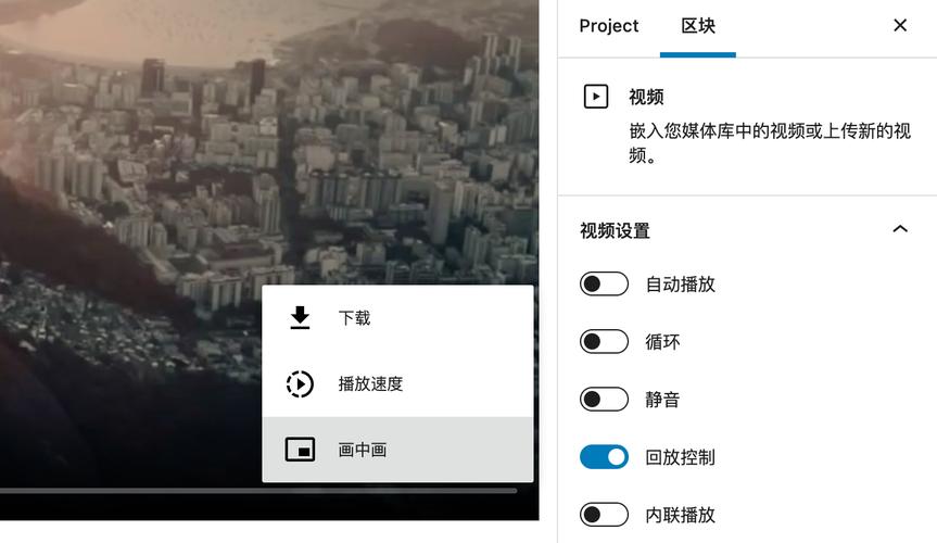 WordPress中文视频教程有哪些？-图3