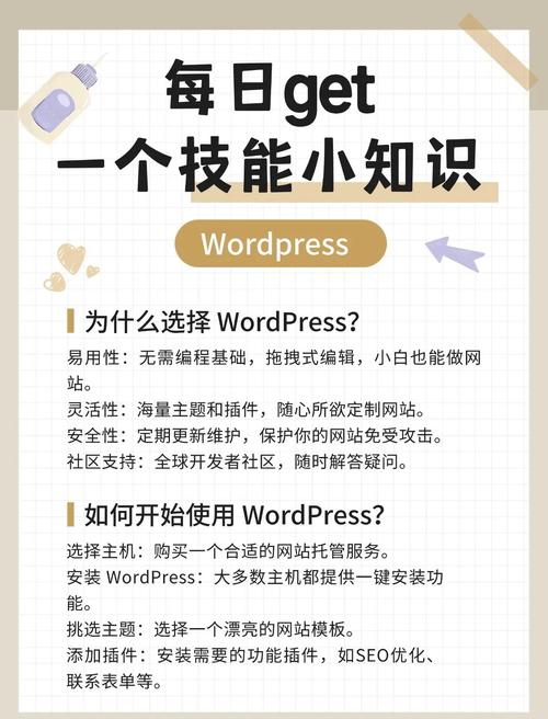 WordPress中文视频教程有哪些？-图2
