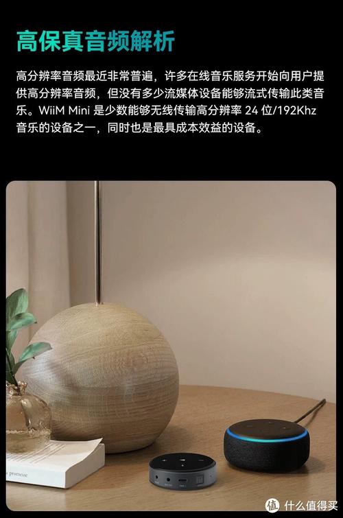 wifi音频接收器品牌-图2