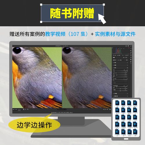 Camera Raw怎么用？新手入门技巧有哪些？-图3