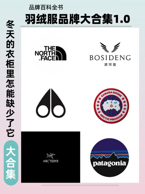 十大羽绒服品牌，哪个才是真正保暖王者？-图1