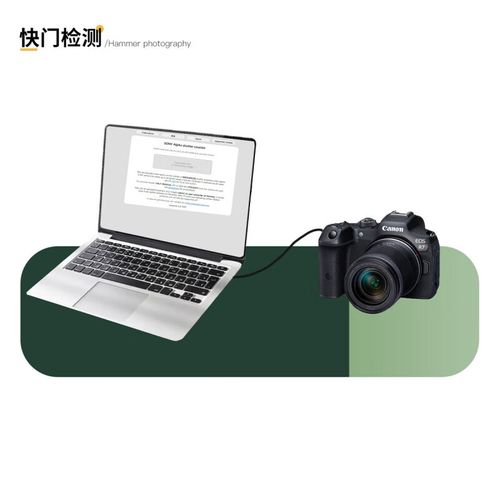 主流数码单反品牌有哪些？-图3